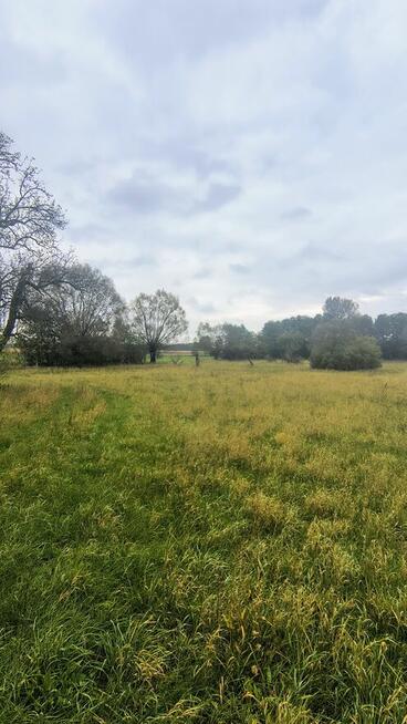Duża działka z domem do rozbiórki. Piękny teren