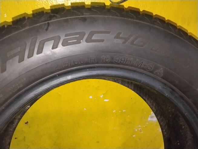 Apollo Alnec4G Winter