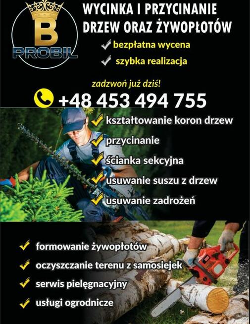 Wycinka i pielęgnacja drzew oraz krzewów