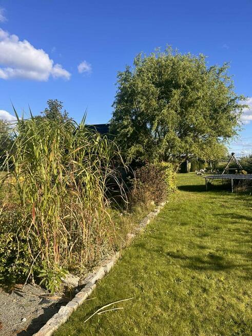 Działka rolno-budowlana Strzelinko warunki zabudowy