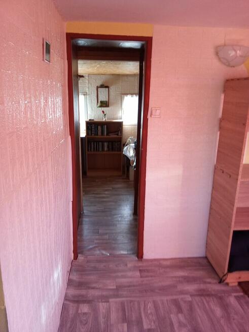 Sprzedam działkę ROD