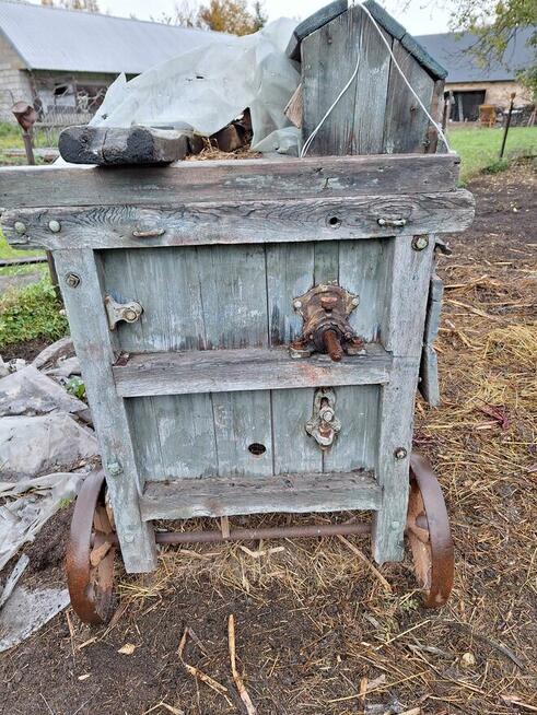 Mockarnia, szerokomłocka