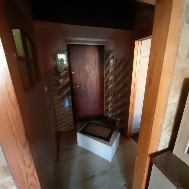 mieszkanie starachowice reja