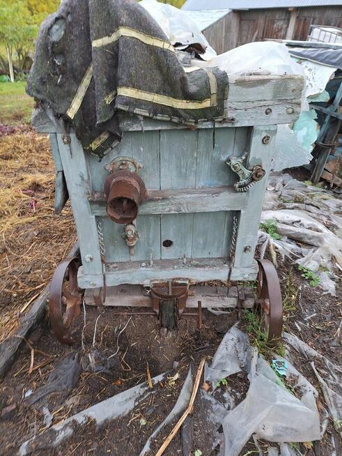 Mockarnia, szerokomłocka