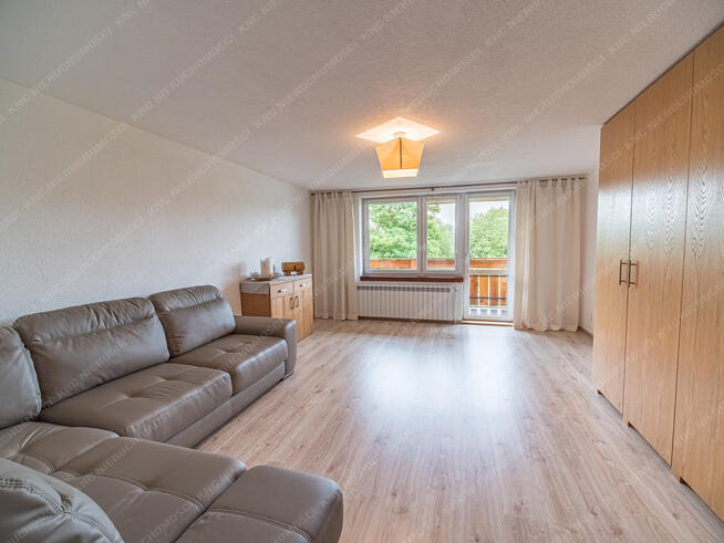 Dom blisko centrum, duża działka - CENA HIT!