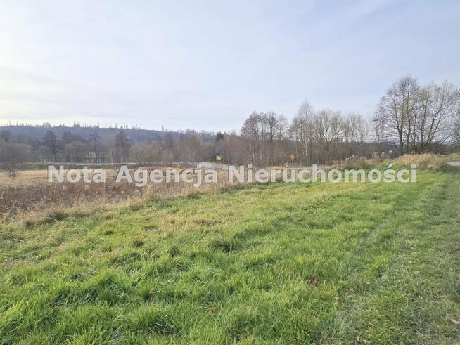 Działka Jabłów gm. Stare Bogaczowice, Kamieniogórska