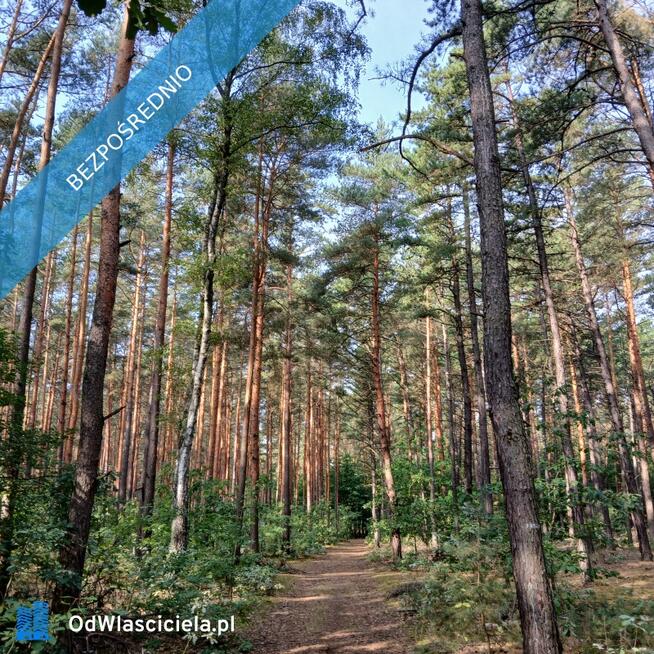 Mieszkanie 2-poziomowe 90m2 po podłodze