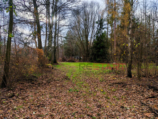 Działka budowlana Adamów-Wieś gm. Radziejowice,