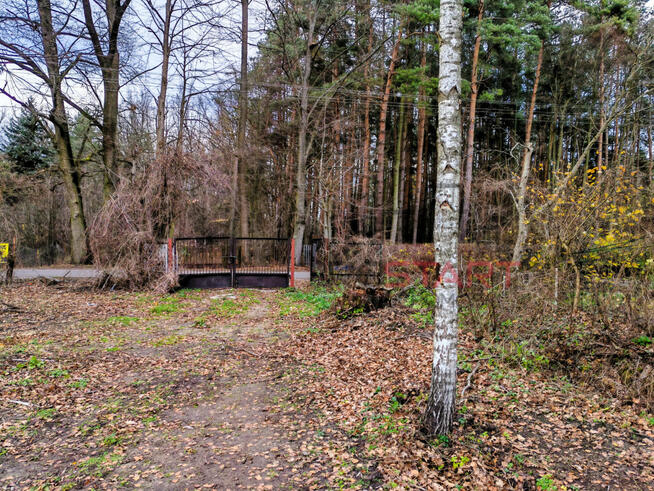 Działka budowlana Adamów-Wieś gm. Radziejowice,