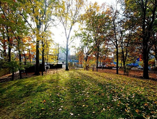 3 pokoje z ogródkiem + internet i TV – Włościańska