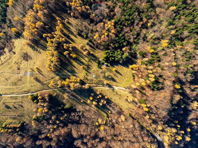Domek rekreacyjny Krościenko Nad Dunajcem