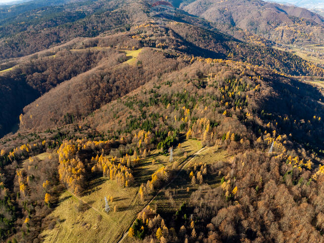 Domek rekreacyjny Krościenko Nad Dunajcem