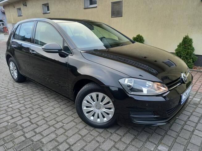 Volkswagen Golf 1.6Tdi Hathback 5Drzwi Distronic Klimatronik Asystent Parkowania Zarej
