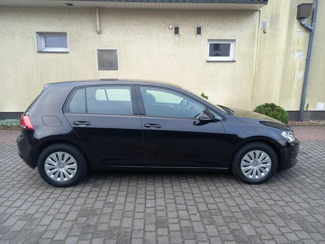 Volkswagen Golf 1.6Tdi Hathback 5Drzwi Distronic Klimatronik Asystent Parkowania Zarej
