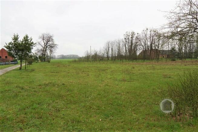 Działka z WZ przy drodze asfaltowej w Goszczanowcu