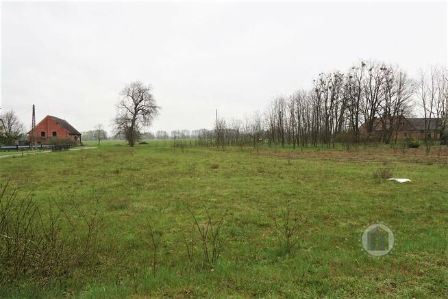 Działka z WZ przy drodze asfaltowej w Goszczanowcu