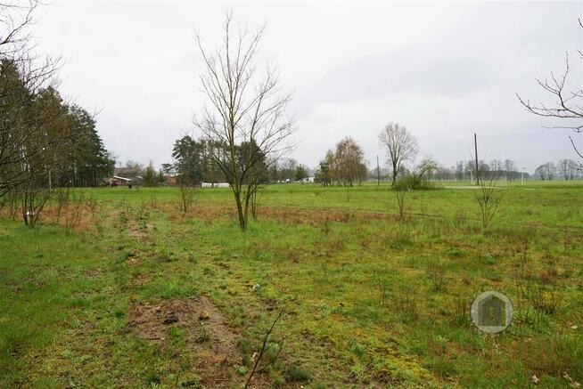 Działka z WZ przy drodze asfaltowej w Goszczanowcu