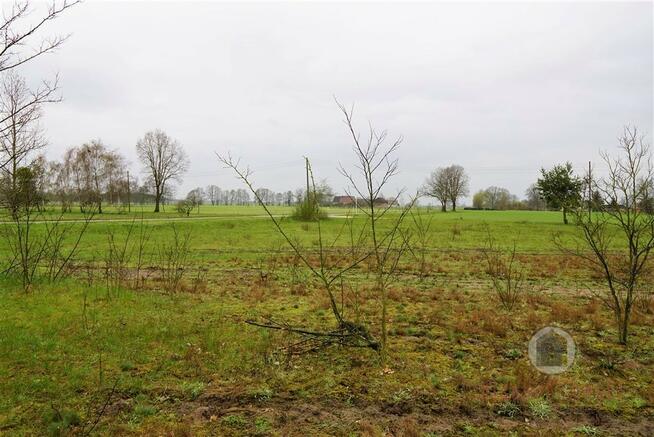 Działka z WZ przy drodze asfaltowej w Goszczanowcu