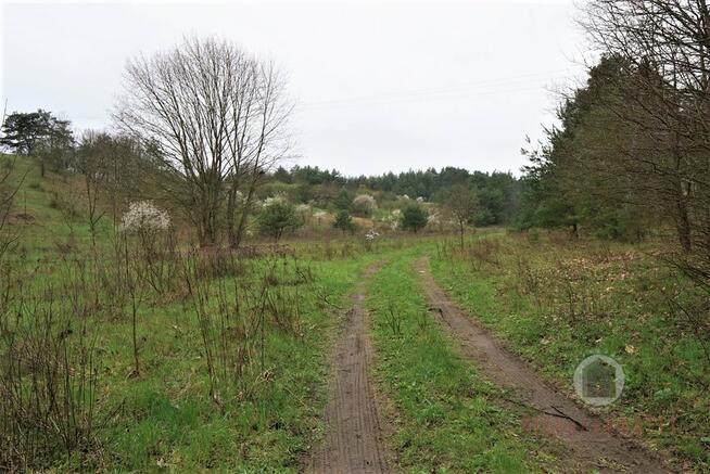 Działka z WZ na budynek handlowo - usługowy