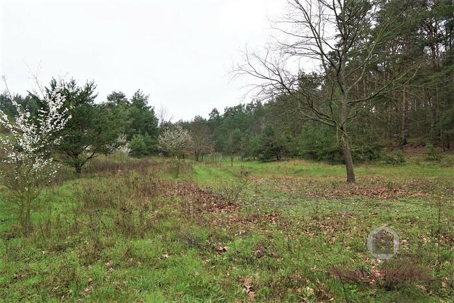 Działka z WZ na budynek handlowo - usługowy