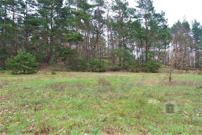 Działka z WZ na budynek handlowo - usługowy