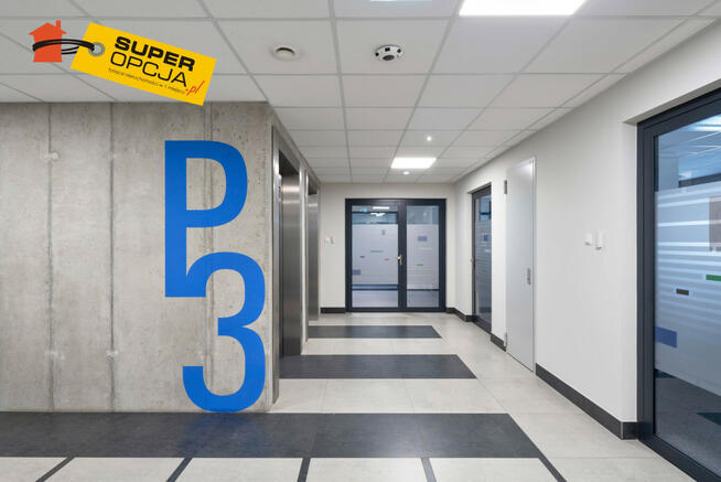 Lokal użytkowy Kraków gm. Kraków-Śródmieście Stare Miasto,