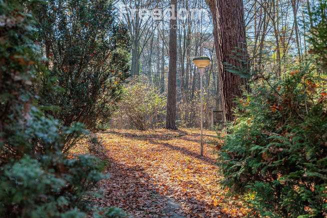 Działka budowalna z domem w Zalesiu Dolnym