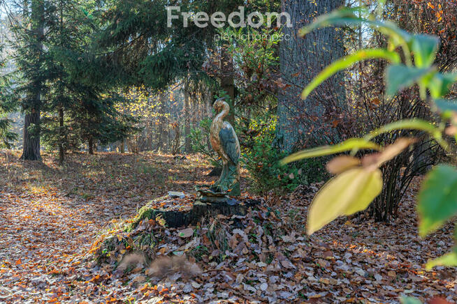 Działka budowalna z domem w Zalesiu Dolnym