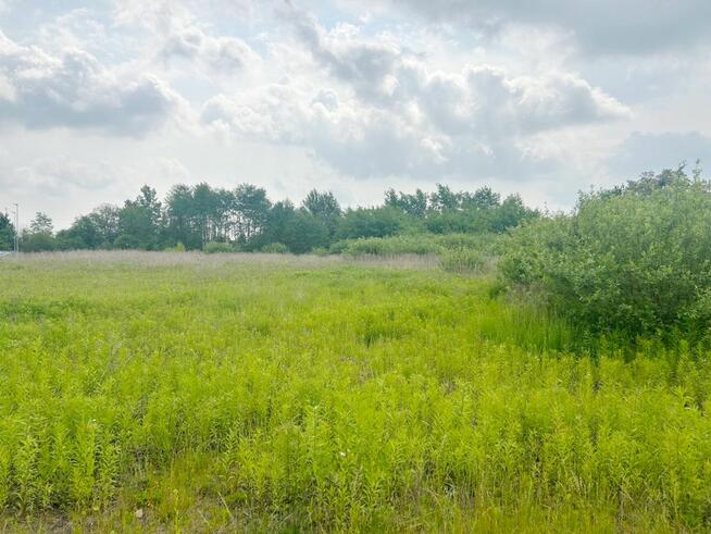 Działka usługowa Poznań gm. Poznań-Nowe Miasto Krzesiny,