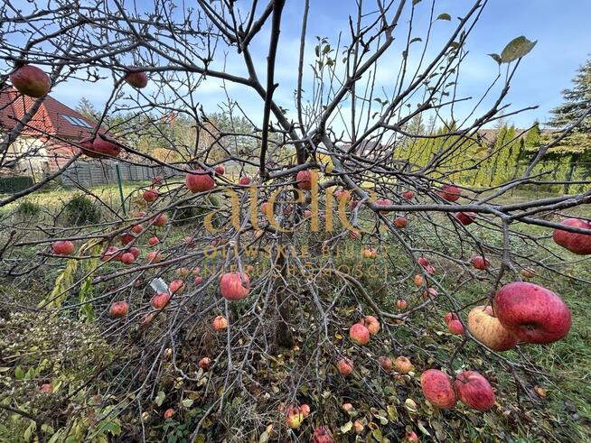 Prywatność i cisza - działka w Tuchomiu!