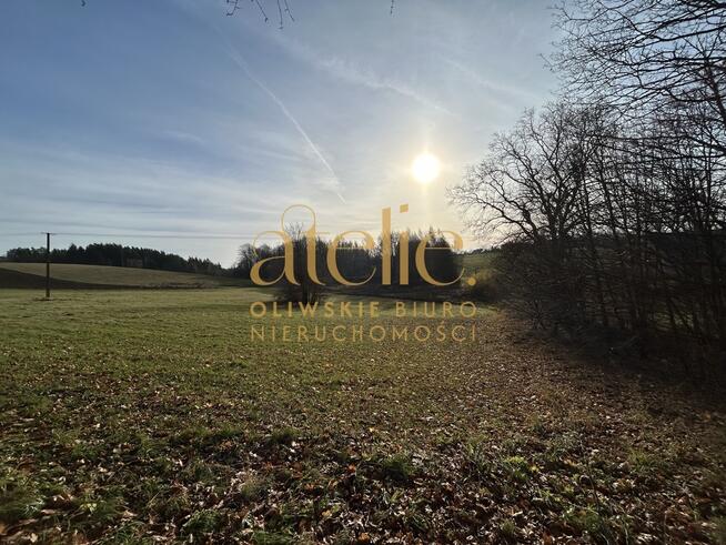 Twój kawałek zieleni w Kobysewie