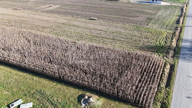 Wyjątkowa działka budowlana 1571 m² – Sielec