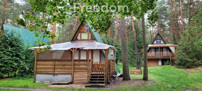 Domek Brda w lesie z basenem- idealny na wakacje i