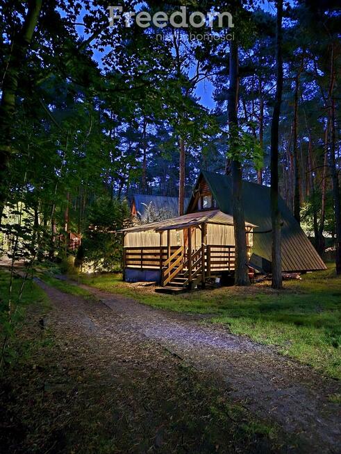 Domek Brda w lesie z basenem- idealny na wakacje i