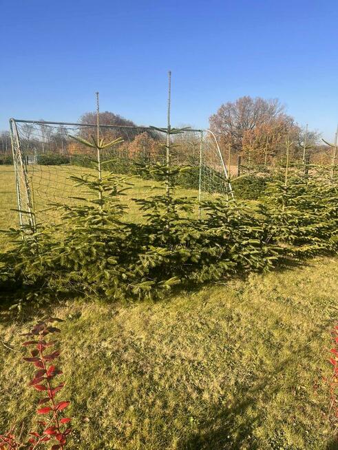 Działka rolno-budowlana Strzelinko warunki zabudowy