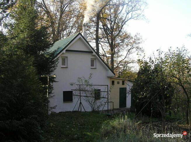 Sprzedam działkę budowlaną z domem całorocznym przy lesie