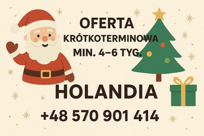 Praca W Holandii - Świąteczne Wyjazdy 7 i 14 Grudnia 4-6 tyg