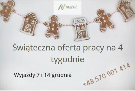 Szybki zarobek w Holandii - praca świąteczna min. 4-6 tyg.