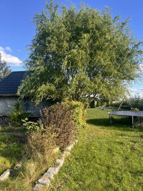 Działka rolno-budowlana Strzelinko warunki zabudowy