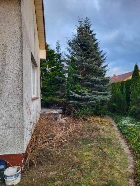 Syndyk sprzeda udział ½ w nieruchomości zabudowanej domem