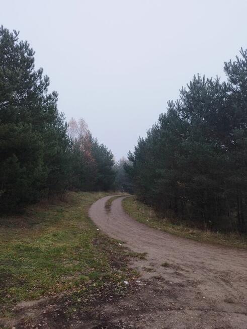 Działki budowlane w Kaliszu Pomorskim