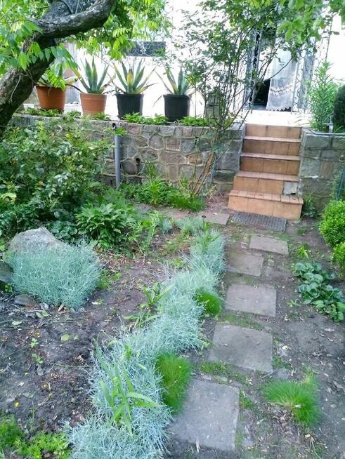 Dom szeregowy PRESTIŻOWA DZIELNICA