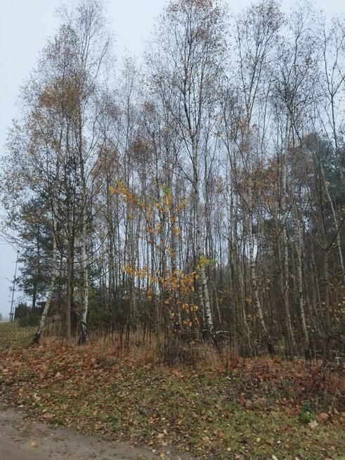 Działki budowlane w Kaliszu Pomorskim