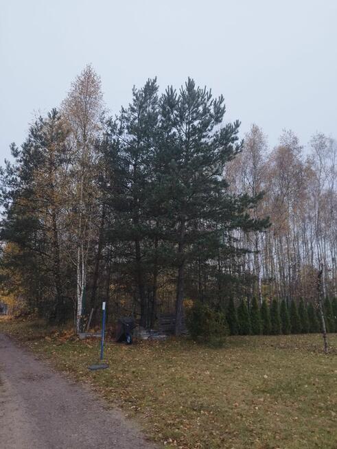 Działki budowlane w Kaliszu Pomorskim