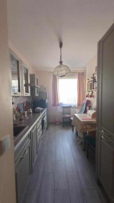 Mieszkanie 2 pok. na ul. Nowy Świat, od stycznia 2026