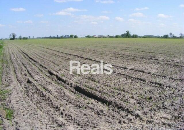 Teren inwestycyjny w okolicy węzła A2 Wiskitki