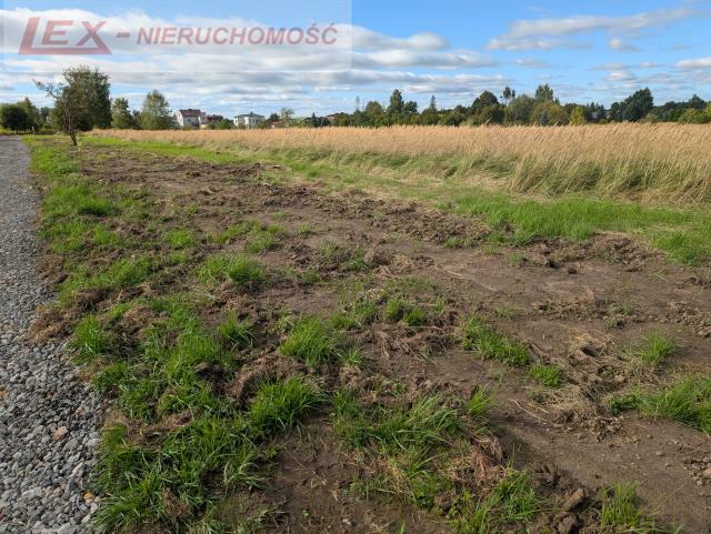 Działka budowlana Ciągowice gm. Łazy