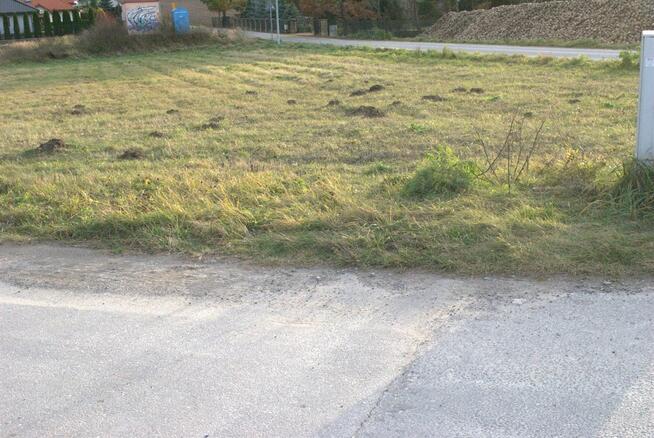 Działka 23,3 ara Głusk - media, I linia