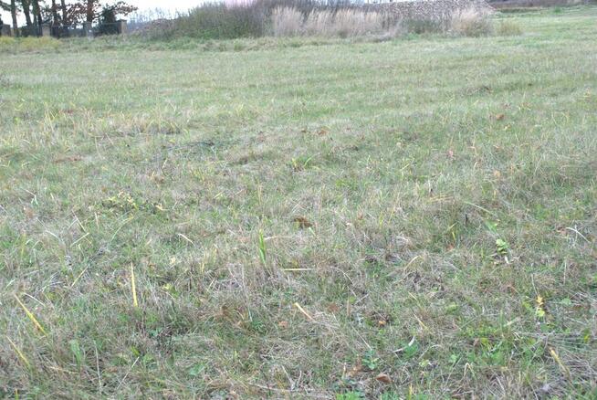 Działka 23,3 ara Głusk - media, I linia