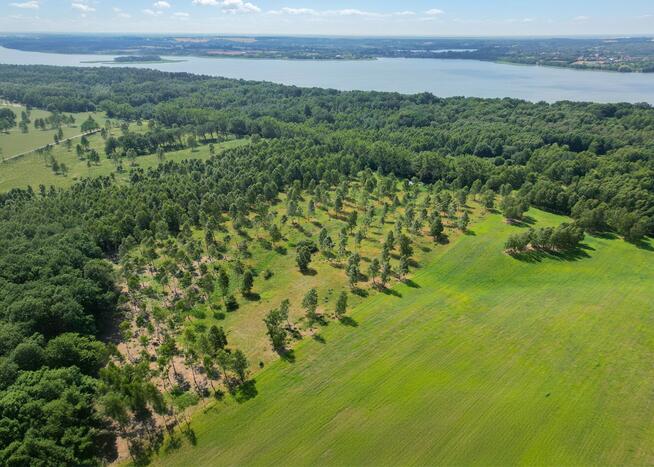 Kompleks działek nad Jeziorem Dąbrowa Wielka